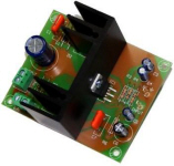 Cebek 15W Mono Amplifier