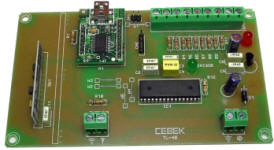 Cebek 8-Channel USB RF Transmitter