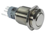 Double Pole Momentary Action Switch