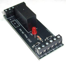 DPDT Relay Module
